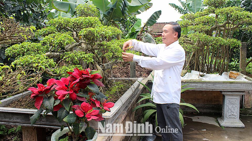 Đẩy mạnh phong trào cải tạo vườn tạp gắn với xây dựng nông thôn mới