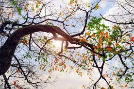 Tỉnh Nam Định tiếp tục có nắng nóng kéo dài