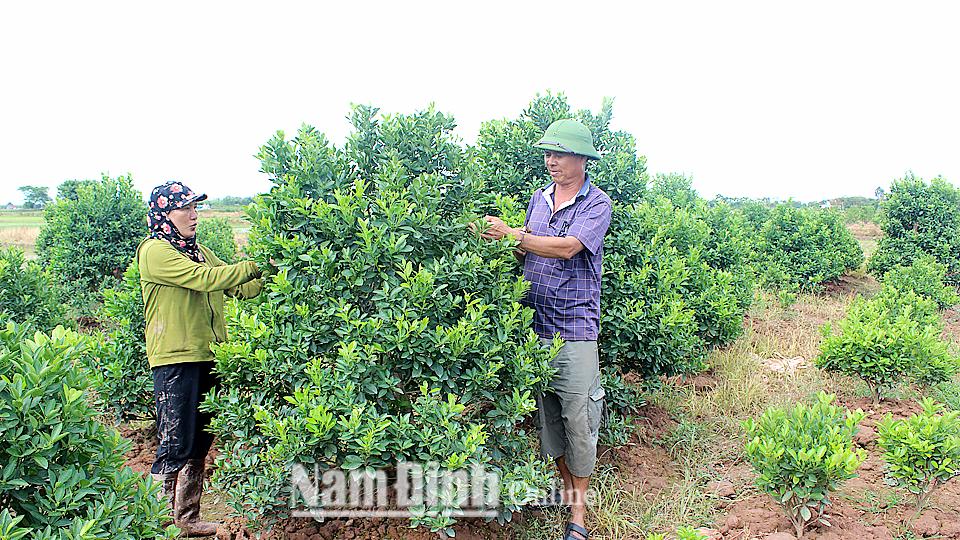 Dự báo thời tiết thủy văn đêm 22 ngày 23-7-2019 trên địa bàn tỉnh Nam Định