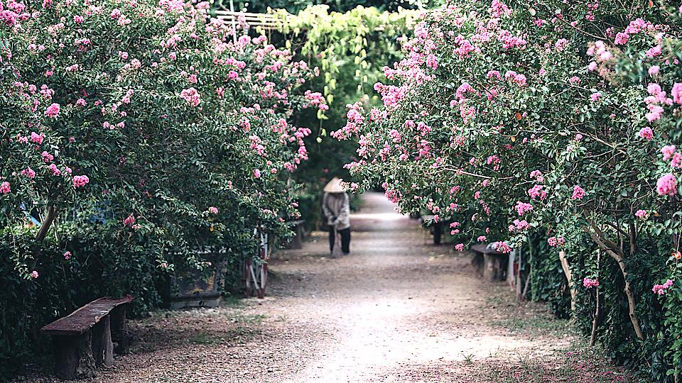 Dự báo thời tiết thủy văn đêm 25 ngày 26-7-2019 trên địa bàn tỉnh Nam Định