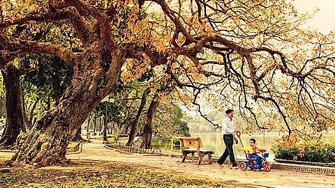 Bâng khuâng mùa thu