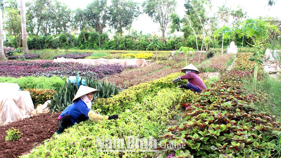 Dự báo thời tiết thủy văn đêm 12 ngày 13-8-2019 trên địa bàn tỉnh Nam Định