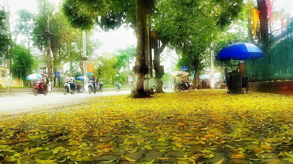 Dự báo thời tiết ngày và đêm 26-9-2019 trên địa bàn tỉnh Nam Định