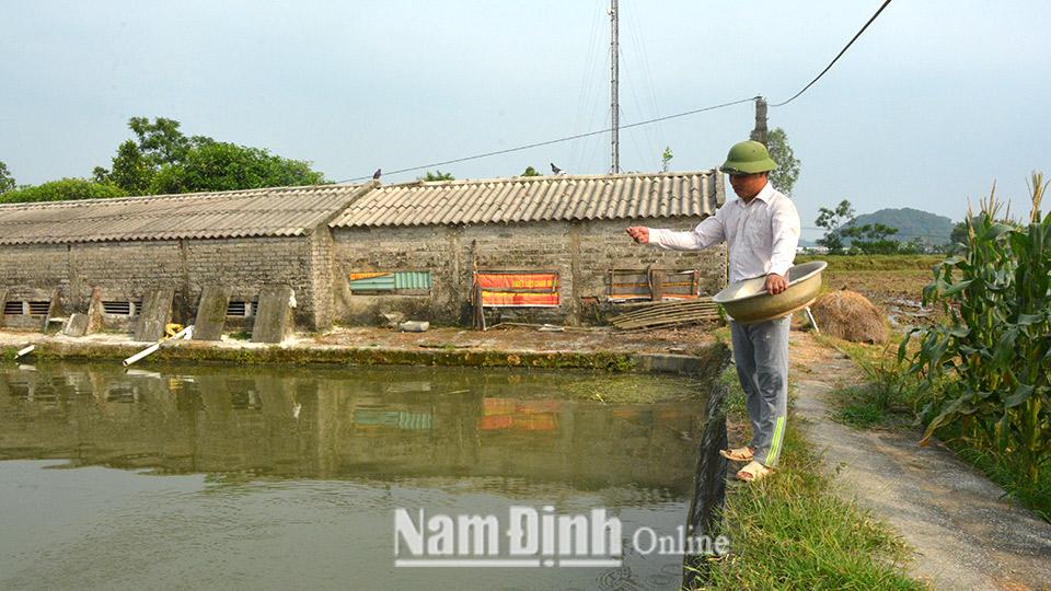 Phát triển nuôi thủy sản chất lượng cao