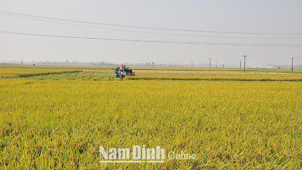 Dự báo thời tiết, thủy văn chiều và đêm ngày 05-05-2020 trên địa bàn tỉnh Nam Định