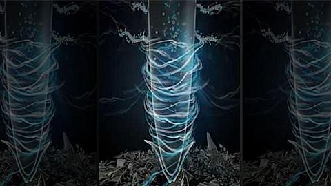 Cảnh báo nguy cơ nhựa nano có thể tích lũy trong rễ cây