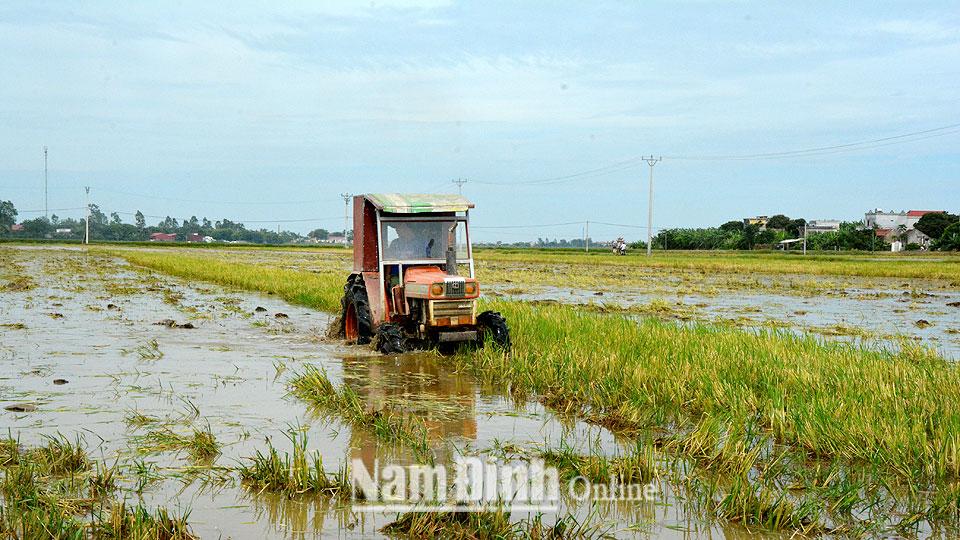 Dự báo thời tiết, thủy văn chiều và đêm ngày 27-08-2020 trên địa bàn tỉnh Nam Định
