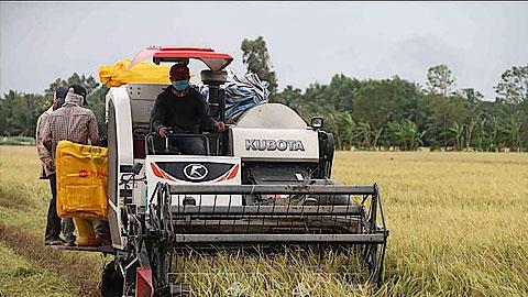 Dự báo thời tiết và thủy văn đêm 28 ngày 29-08-2020 trên địa bàn tỉnh Nam Định