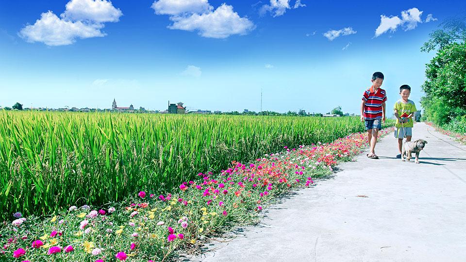 Dự báo thời tiết và thủy văn đêm 03 ngày 04-09-2020 trên địa bàn tỉnh Nam Định