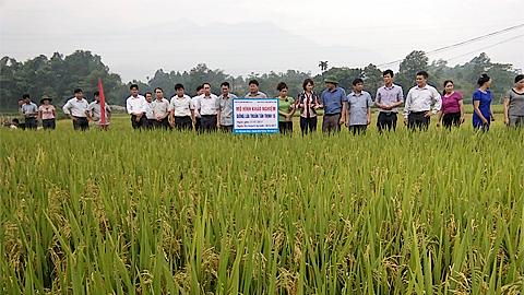 Dự báo thời tiết và thủy văn chiều và đêm 20 tháng 10 năm 2020 trên địa bàn tỉnh Nam Định