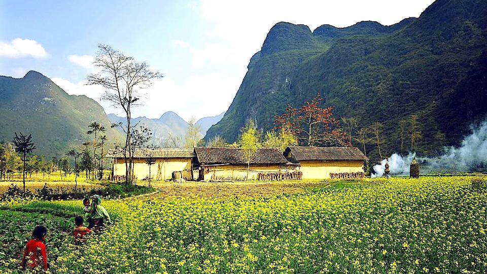 Hanh hao nắng đông