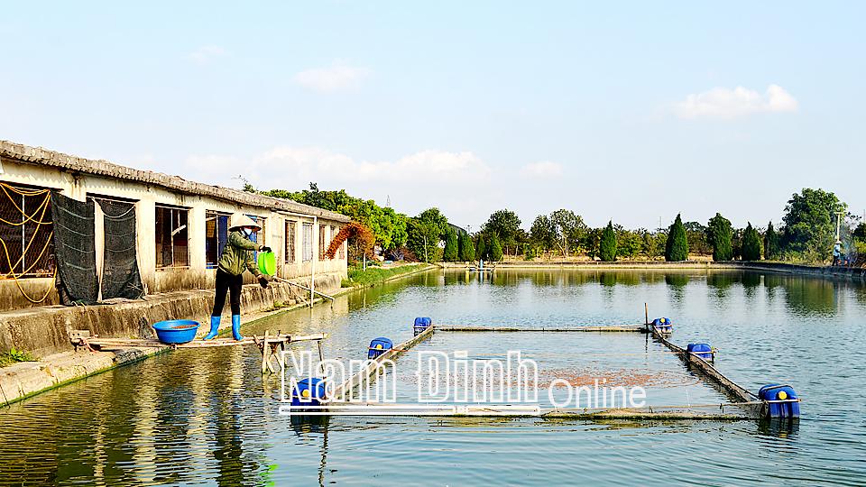 Hối hả vụ cá Tết ở Mỹ Hà