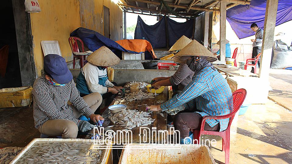 Nghề chế biến hải sản khô phục vụ Tết