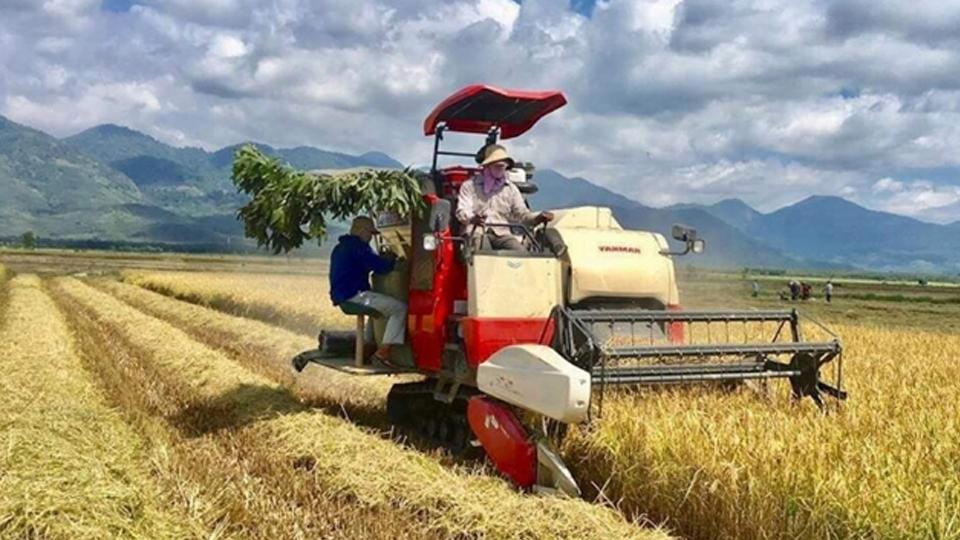 Bình Thuận: Công nhận huyện đạt chuẩn nông thôn mới