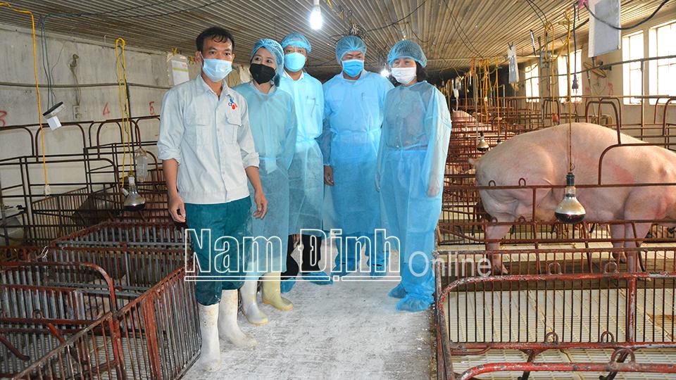 Hỗ trợ tiêu thụ nông sản trong điều kiện dịch bệnh COVID-19