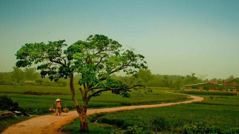 Quê nhà yêu dấu