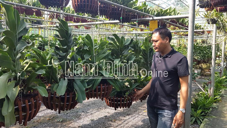 Các mô hình thanh niên phát triển kinh tế ở Điền Xá