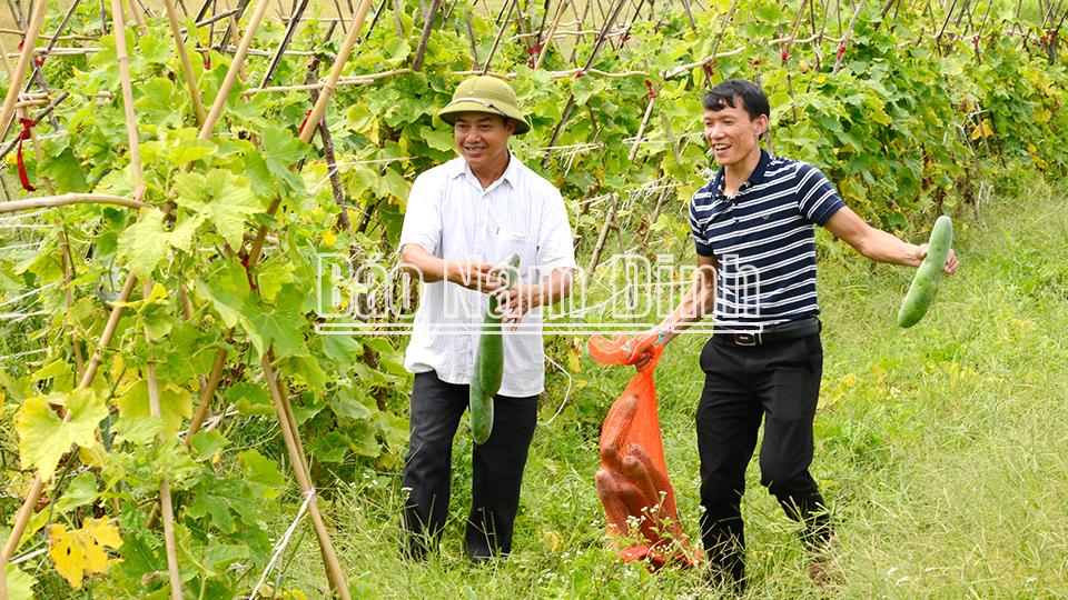 Đổi mới, nâng cao hiệu quả kinh tế tập thể trong tình hình mới (kỳ 2)