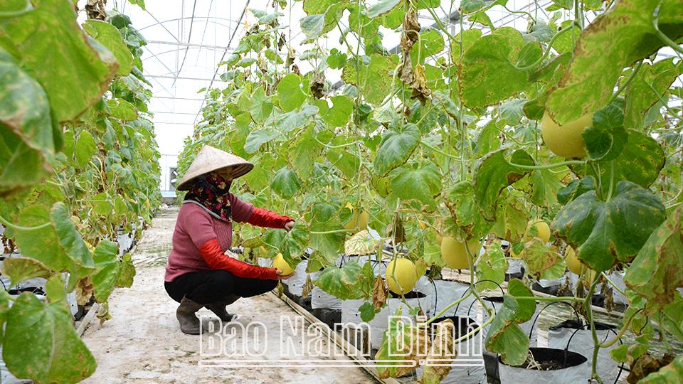Đánh thức tiềm năng vùng đất bãi