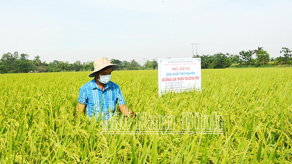 Hướng đến nền nông nghiệp hữu cơ hiện đại (kỳ 1)