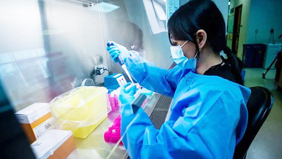 WHO bổ sung hai biến thể phụ mới của Omicron vào danh sách cần theo dõi