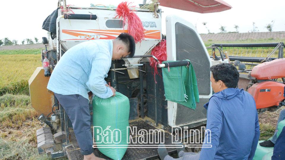 Khắc phục tình trạng người dân bỏ ruộng hoang (kỳ 2)