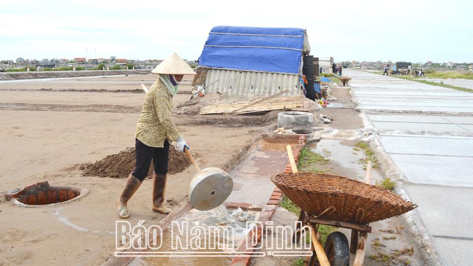 Tạo điều kiện cho các HTX tiếp cận vốn ngân hàng