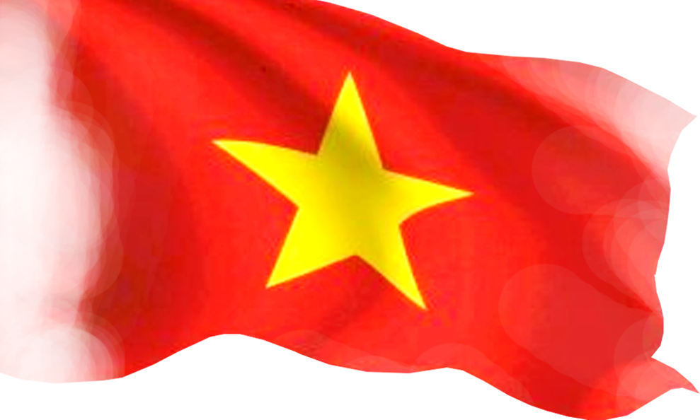 Logo Bầu cử đại biểu